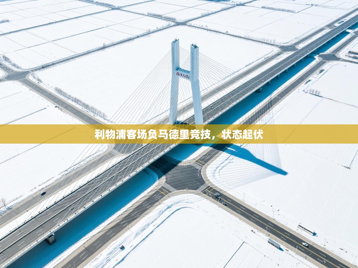 利物浦客场负马德里竞技，状态起伏  第2张