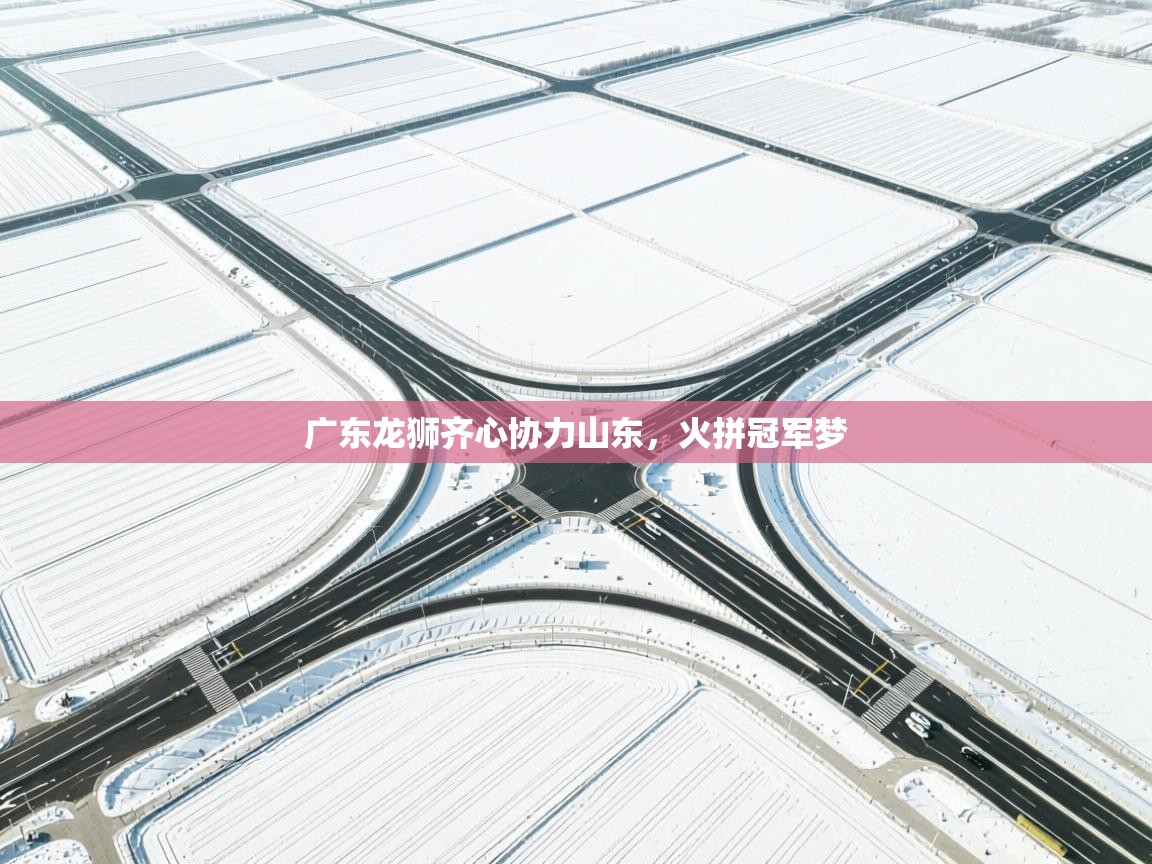 广东龙狮齐心协力山东，火拼冠军梦  第1张