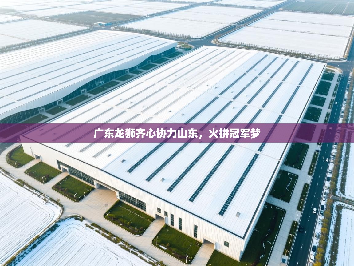 广东龙狮齐心协力山东，火拼冠军梦  第2张