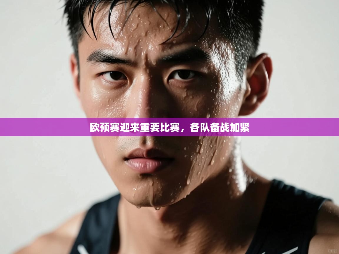 欧预赛迎来重要比赛，各队备战加紧  第1张