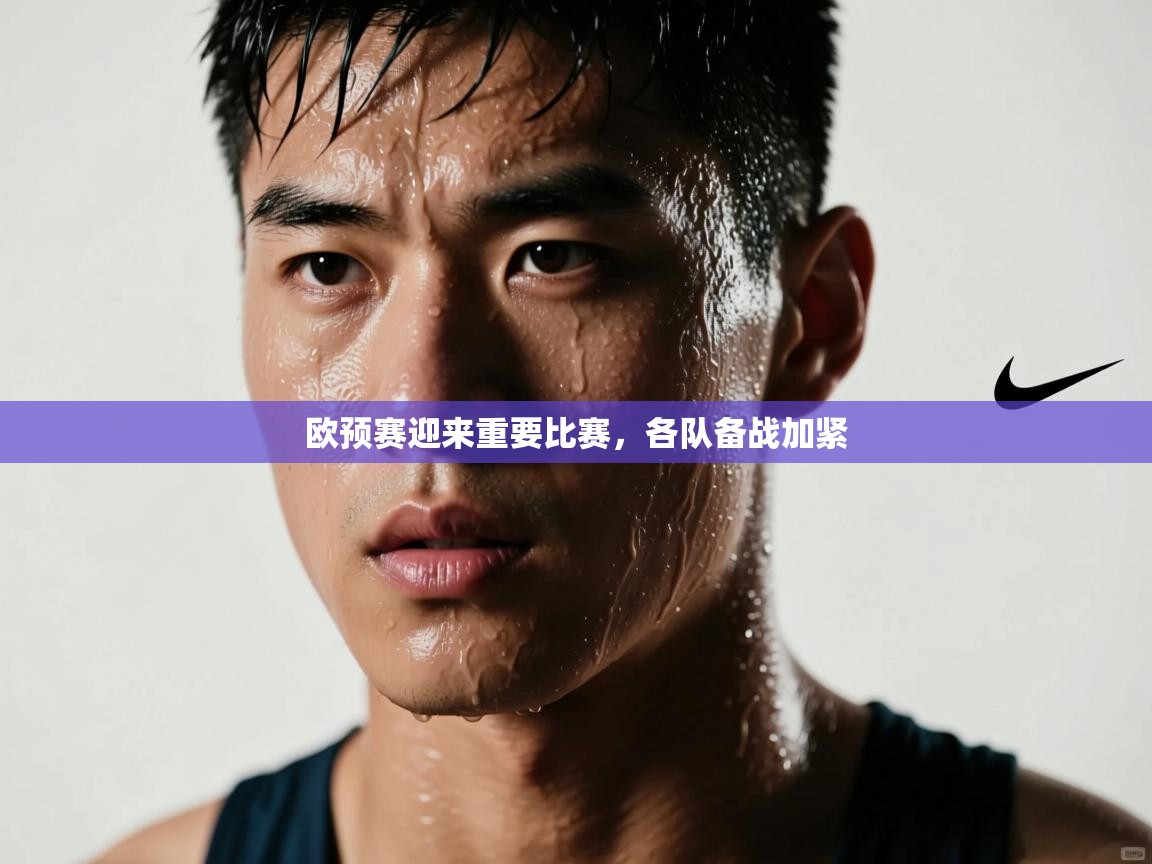 欧预赛迎来重要比赛，各队备战加紧  第2张