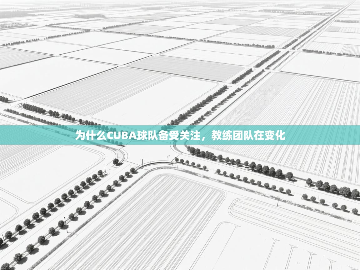 为什么CUBA球队备受关注，教练团队在变化  第1张