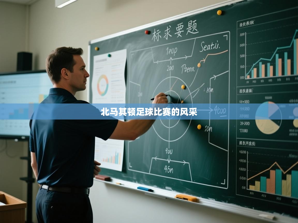 北马其顿足球比赛的风采 第1张