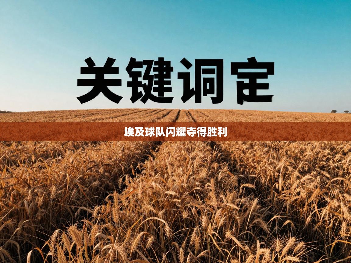 埃及球队闪耀夺得胜利 第2张