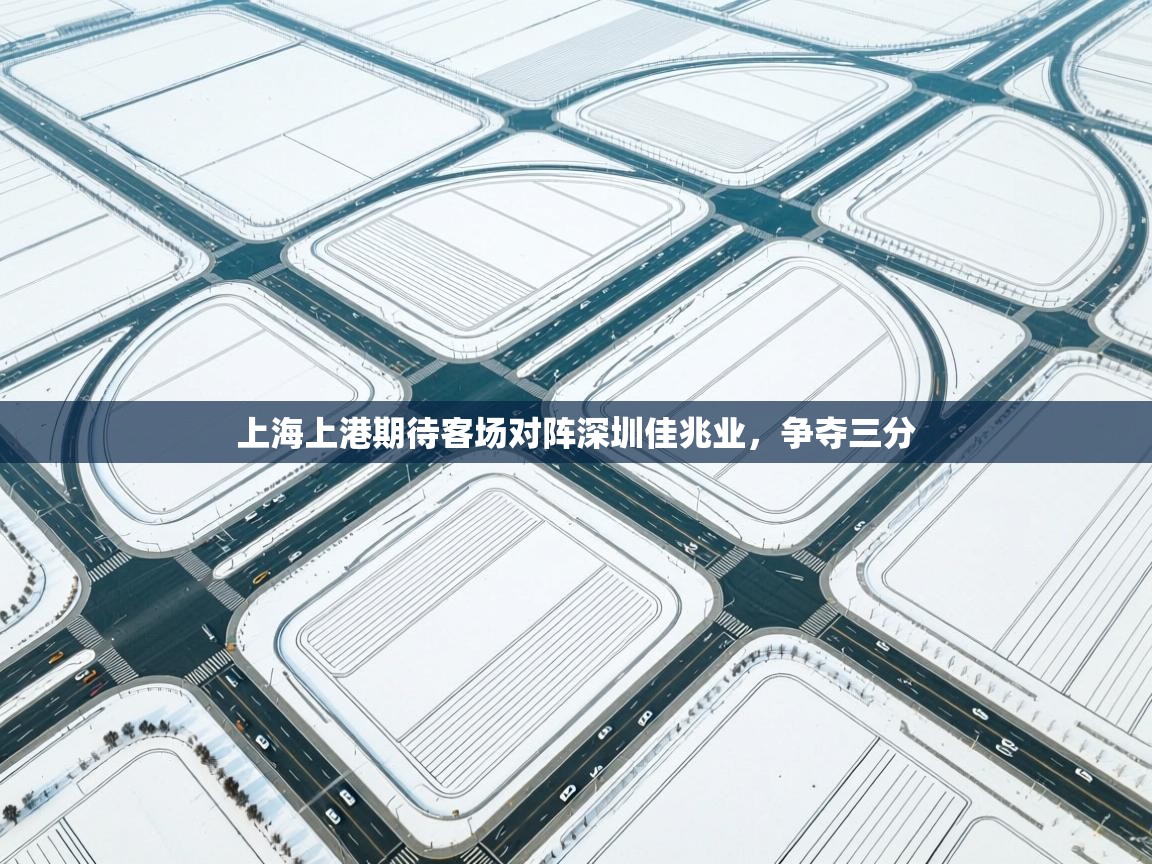 上海上港期待客场对阵深圳佳兆业，争夺三分  第1张