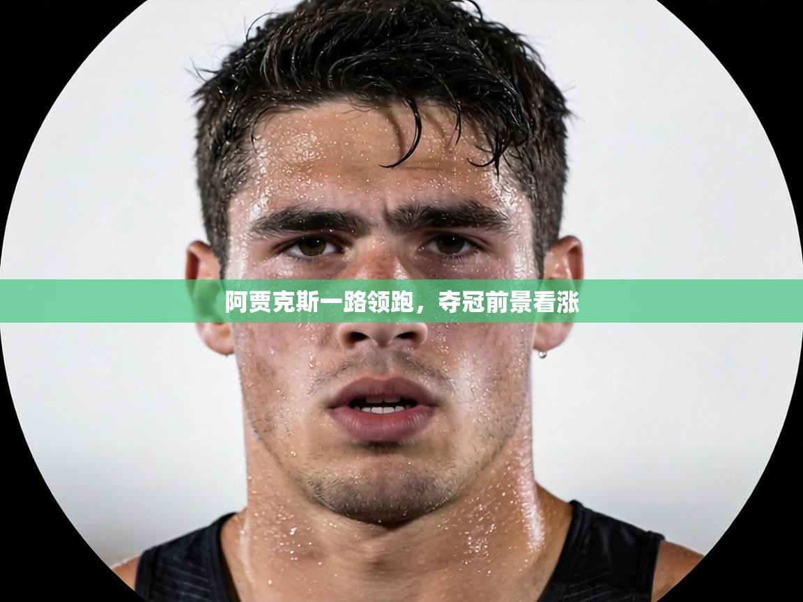 阿贾克斯一路领跑，夺冠前景看涨  第1张
