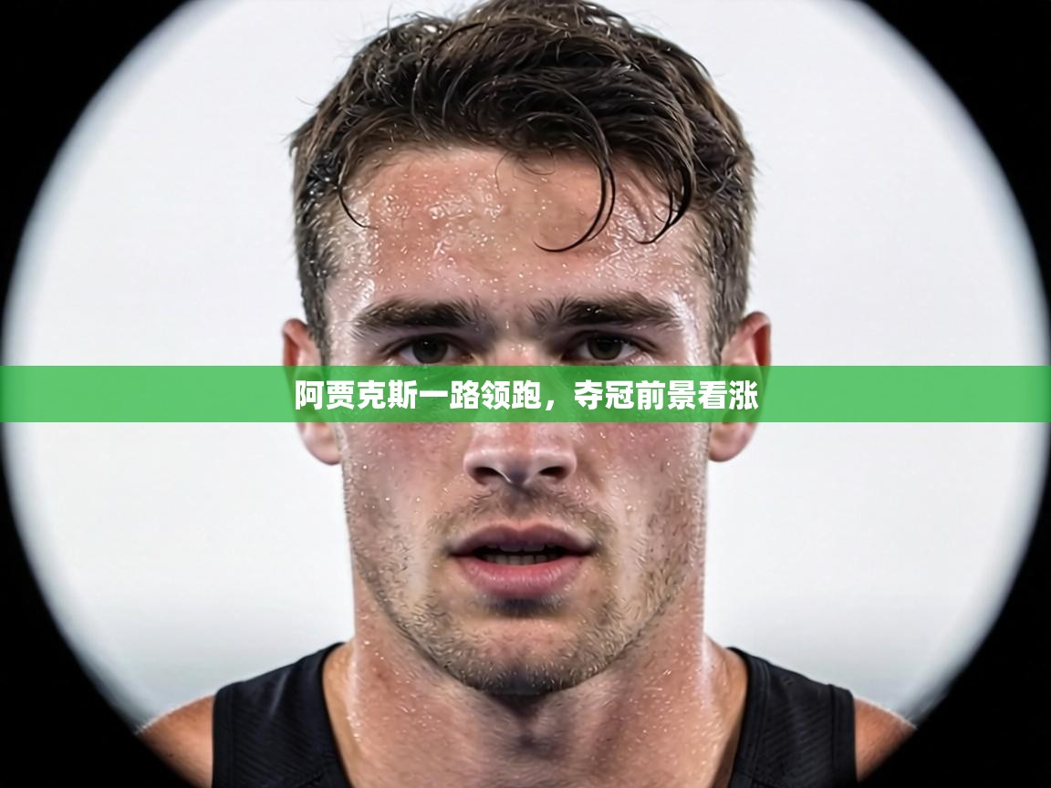 阿贾克斯一路领跑，夺冠前景看涨  第2张